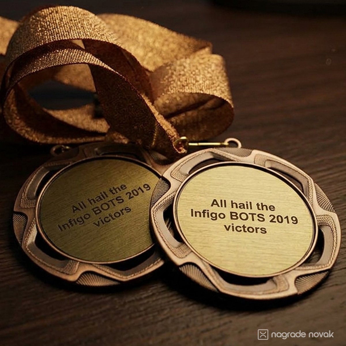 Two bronze medals with gold inserts reading "All hail the Infigo BOTS 2019 victors", lying on a dark wooden surface with a gold glitter ribbon above them