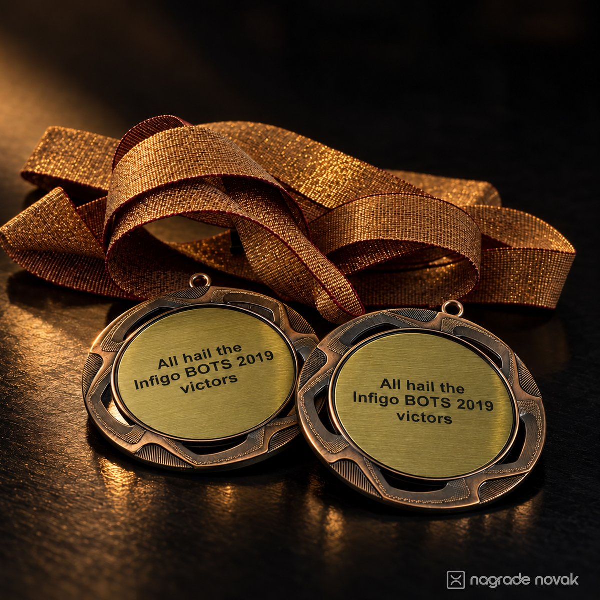 Two bronze medals with gold inserts reading "All hail the Infigo BOTS 2019 victors", placed side by side on a dark reflective surface with a gold glitter ribbon behind them